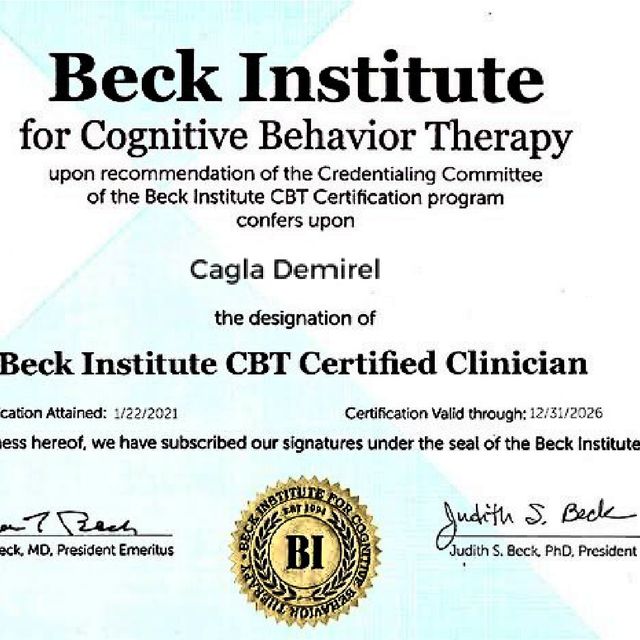 Resmi büyüt: certificate 2