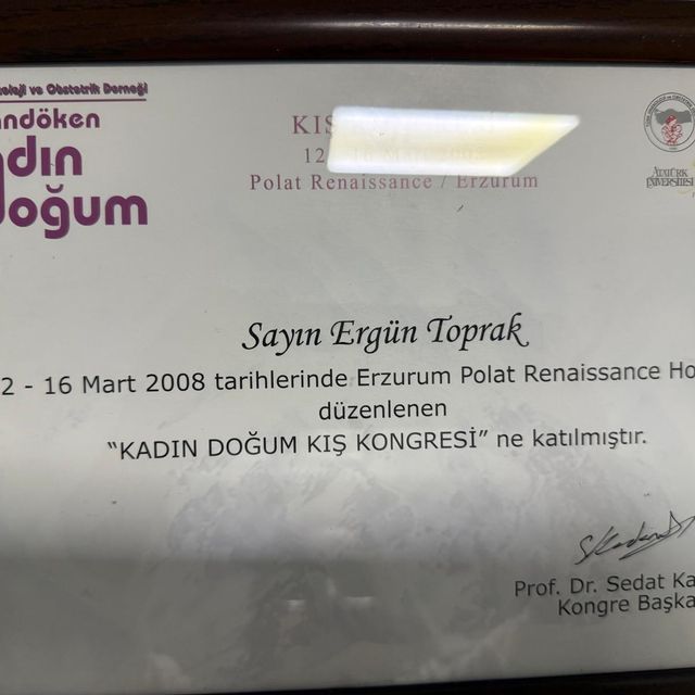 Resmi büyüt: certificate 12