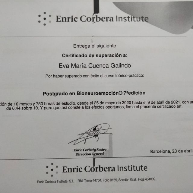 Acercar imagen: certificate 2