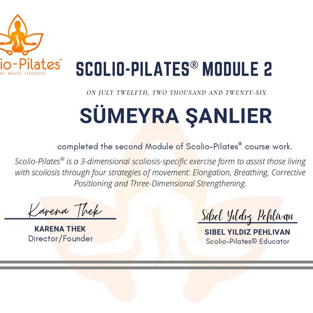 Resmi büyüt: certificate 7