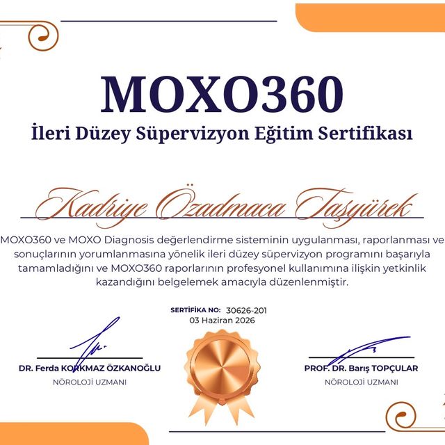 Resmi büyüt: certificate 87