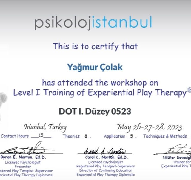 Resmi büyüt: certificate 4