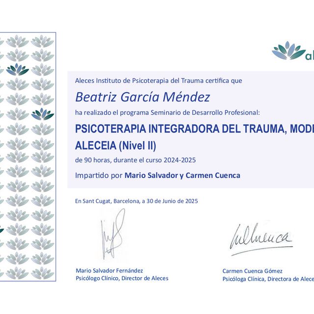 Acercar imagen: certificate 4