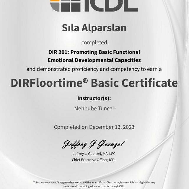Resmi büyüt: certificate 2