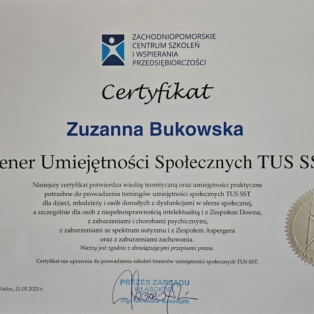 Powiększ obraz: certificate 1