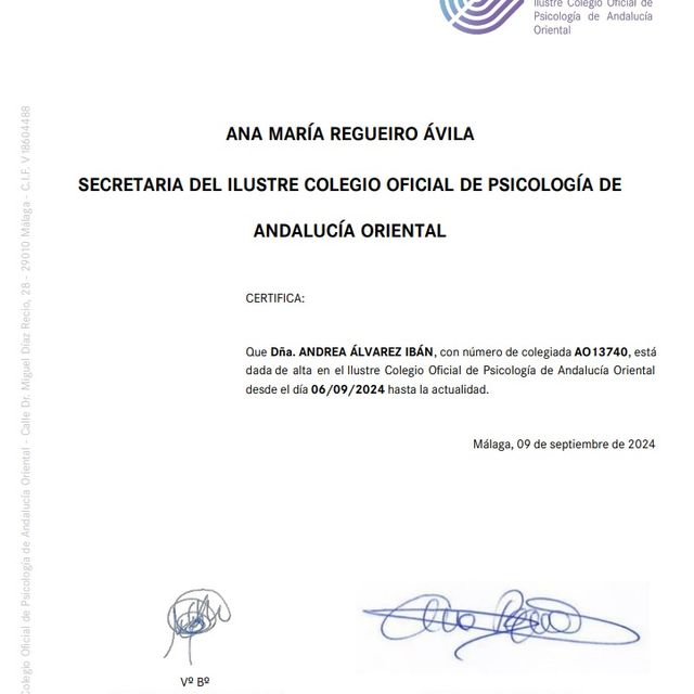 Acercar imagen: certificate 4