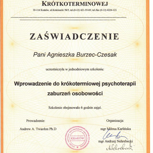 Powiększ obraz: certificate 4