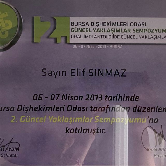 Resmi büyüt: certificate 1