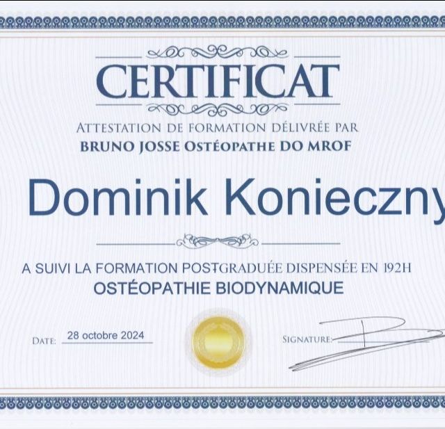 Powiększ obraz: certificate 23
