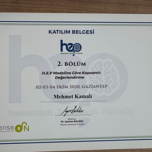 Resmi büyüt: certificate 6