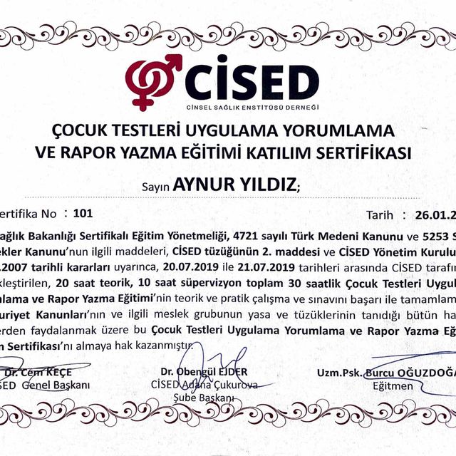 Resmi büyüt: certificate 35