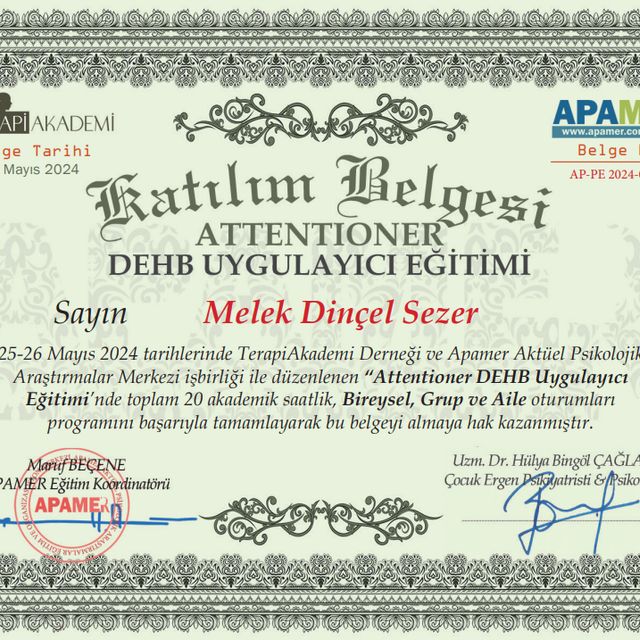 Resmi büyüt: certificate 13