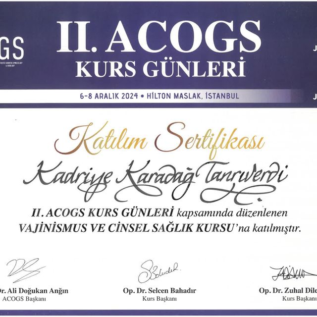 Resmi büyüt: certificate 26