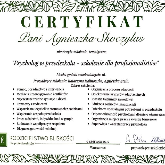 Powiększ obraz: certificate 5