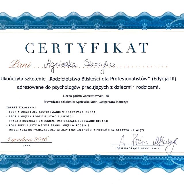 Powiększ obraz: certificate 7