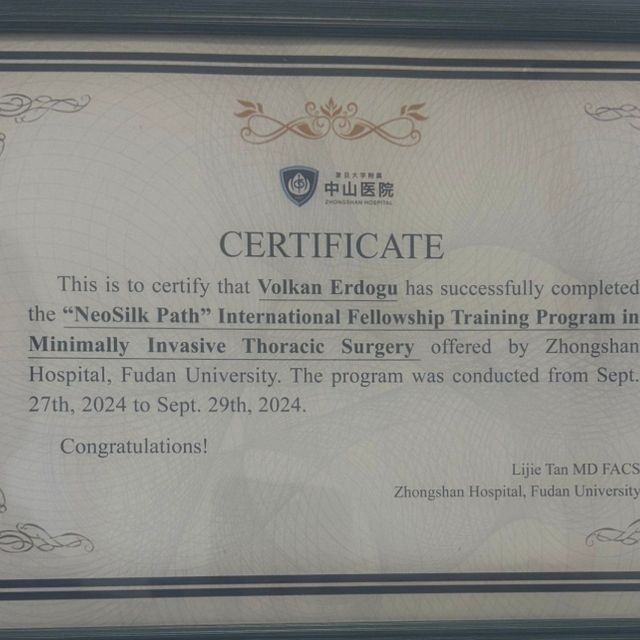 Resmi büyüt: certificate 7