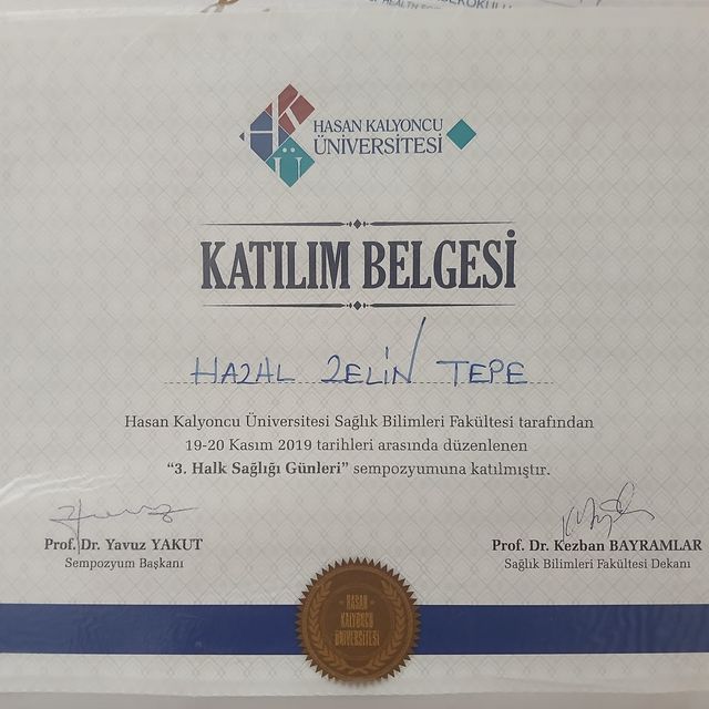 Resmi büyüt: certificate 4