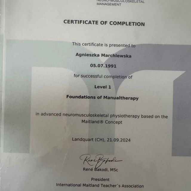 Powiększ obraz: certificate 8