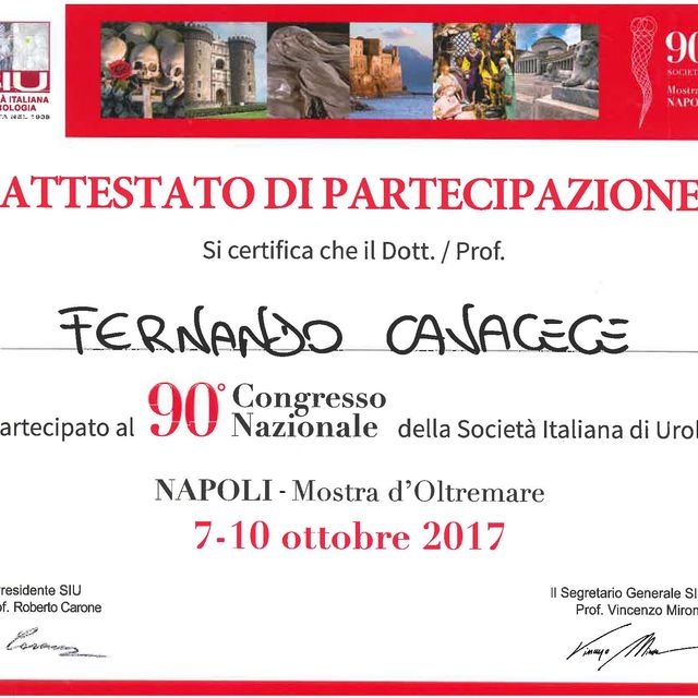 Ingrandire l'immagine: certificate 1