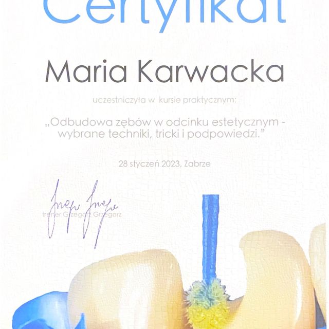 Powiększ obraz: certificate 4