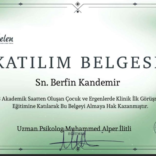 Resmi büyüt: certificate 17
