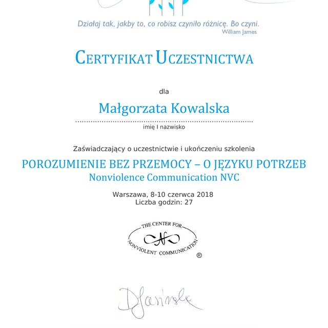 Powiększ obraz: certificate 9