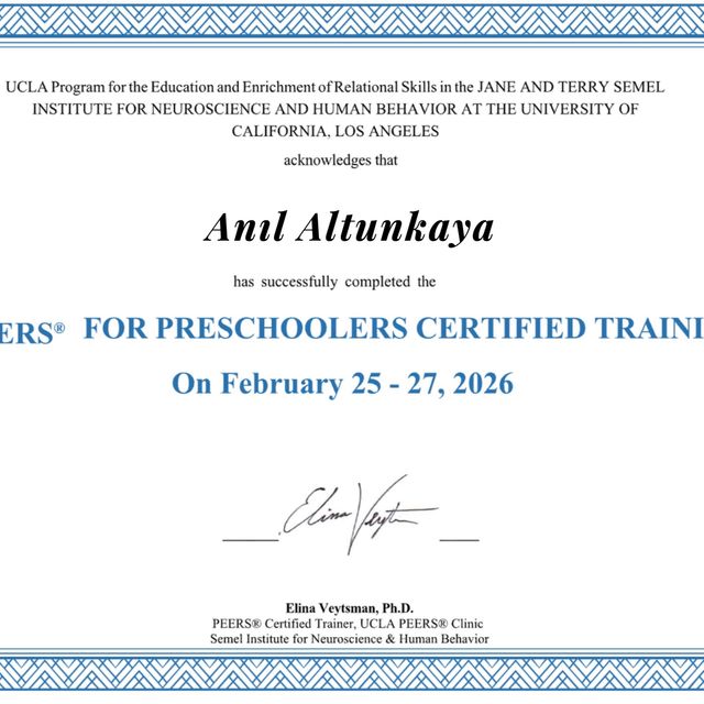 Resmi büyüt: certificate 1