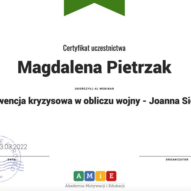 Powiększ obraz: certificate 2