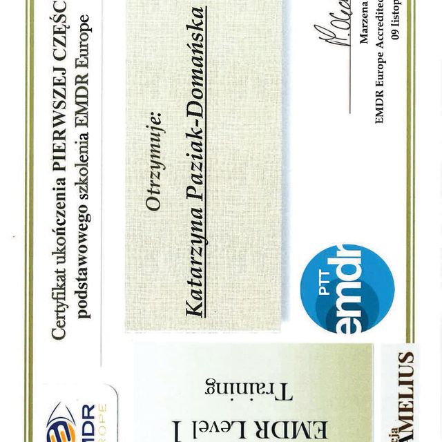 Powiększ obraz: certificate 7