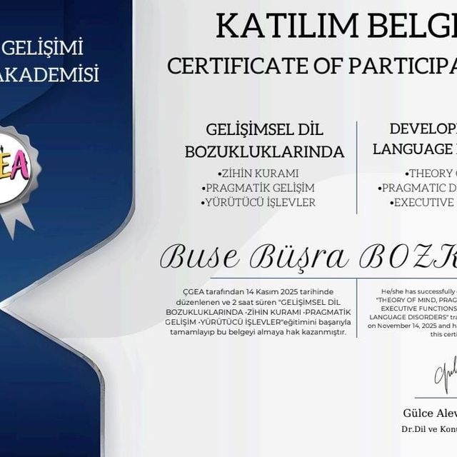 Resmi büyüt: certificate 13