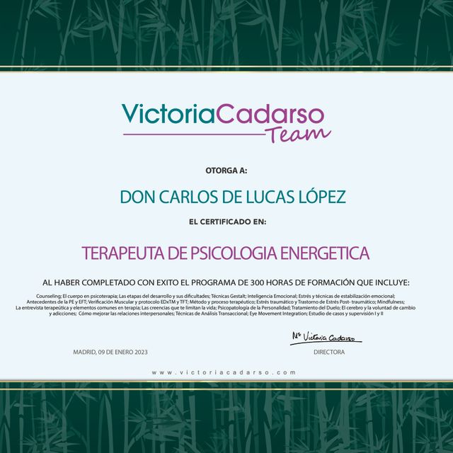 Acercar imagen: certificate 2