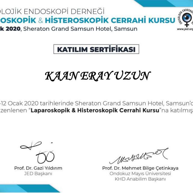 Resmi büyüt: certificate 11