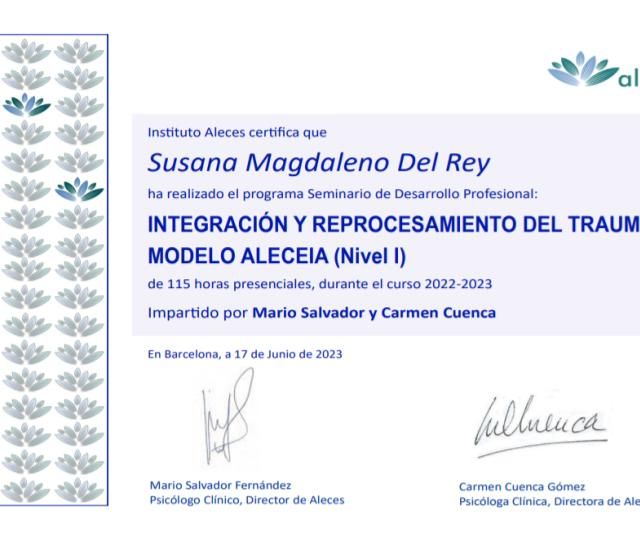 Acercar imagen: certificate 5