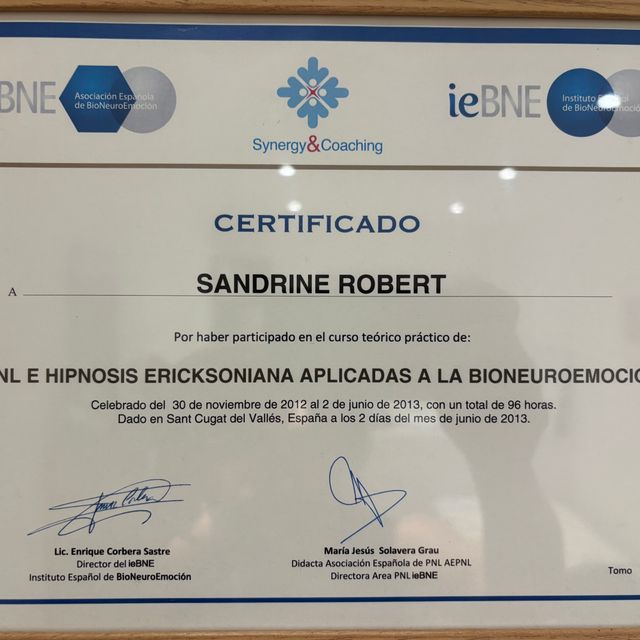 Acercar imagen: certificate 5