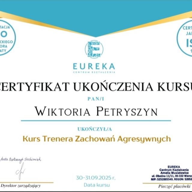 Powiększ obraz: certificate 3