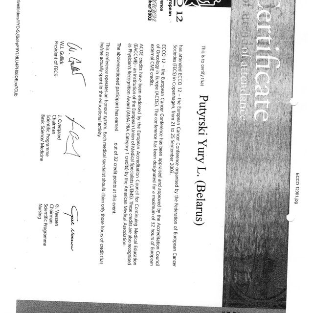 Powiększ obraz: certificate 3