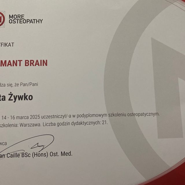 Powiększ obraz: certificate 31