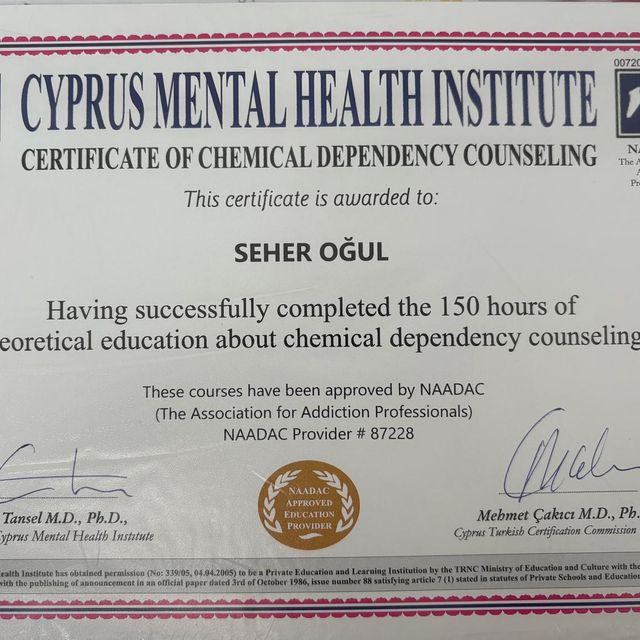 Resmi büyüt: certificate 1