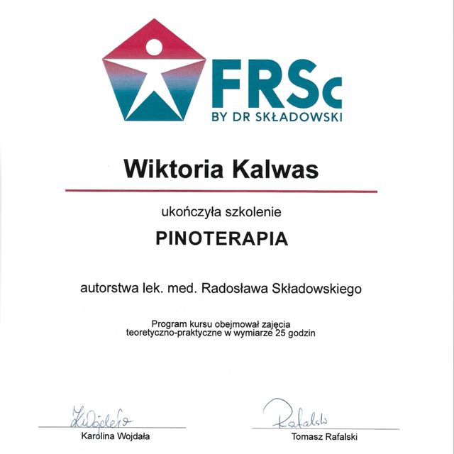 Powiększ obraz: certificate 5