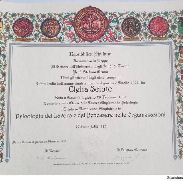 Ingrandire l'immagine: certificate 2