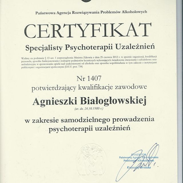 Powiększ obraz: certificate 2