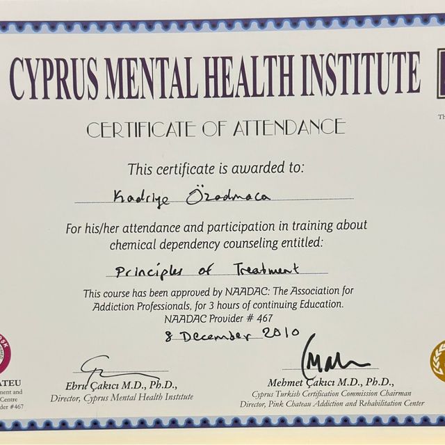 Resmi büyüt: certificate 15