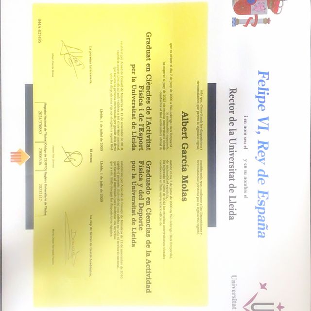 Acercar imagen: certificate 3