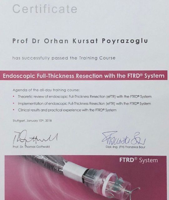 Resmi büyüt: certificate 4