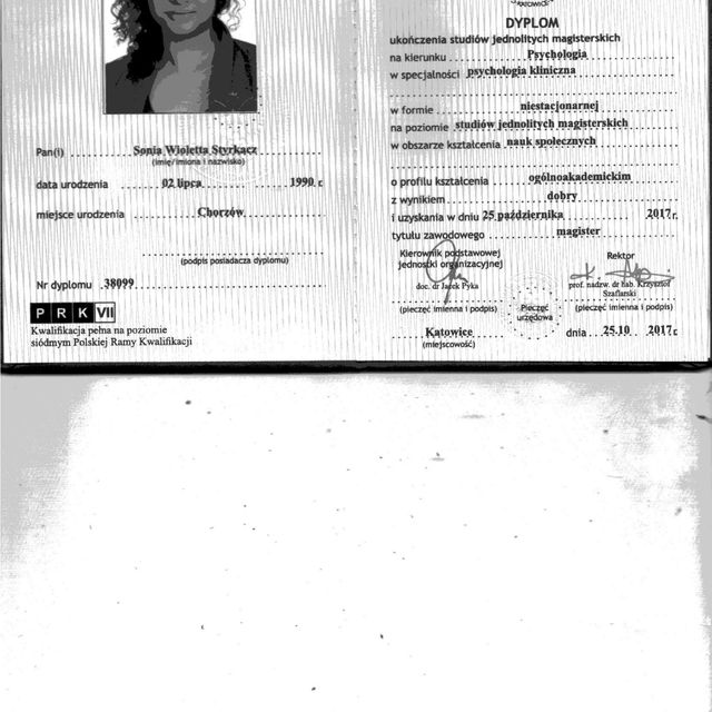 Powiększ obraz: certificate 1