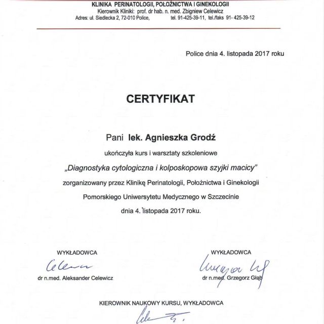 Powiększ obraz: certificate 9