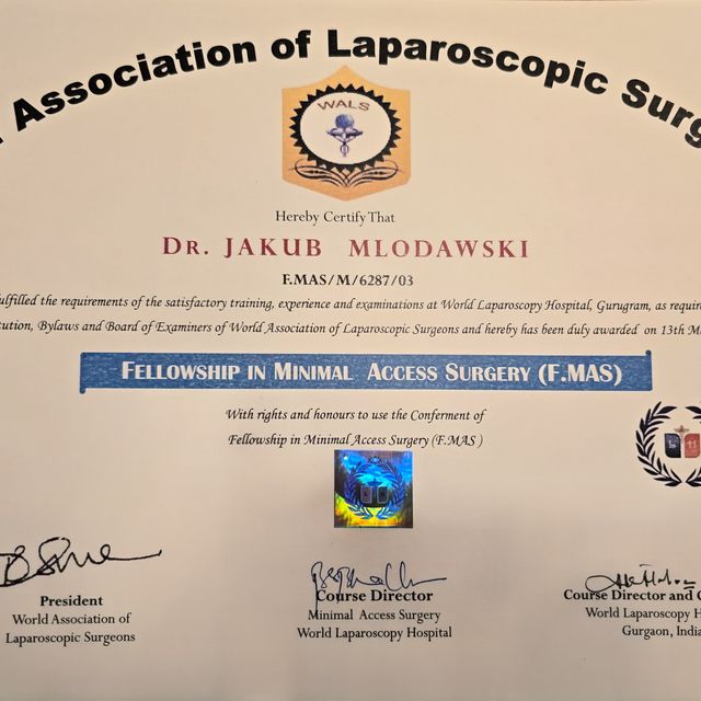 Powiększ obraz: certificate 2