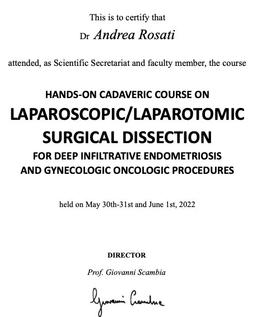 Ingrandire l'immagine: certificate 4