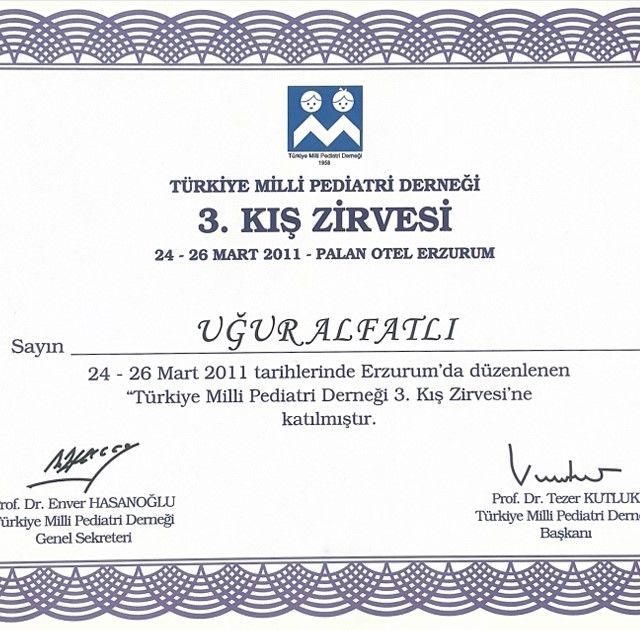 Resmi büyüt: certificate 17