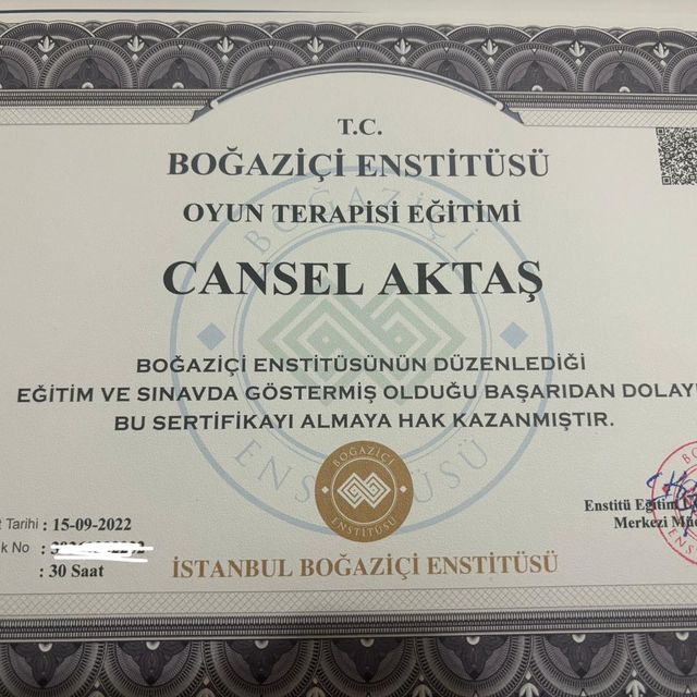 Resmi büyüt: certificate 1